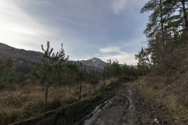 Λασπώδης Χωματόδρομος Στο Φυσικό Πάρκο Gorbea Στη Χώρα Basque — Φωτογραφία Αρχείου