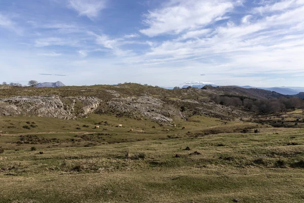 Los Valles Verdes Vizcaya Por Mañana Día Invernal —  Fotos de Stock