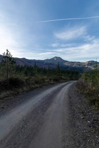 Bask bölgesindeki orman yolu. Gorbea doğal parkında. Arkasında dağlar var.
