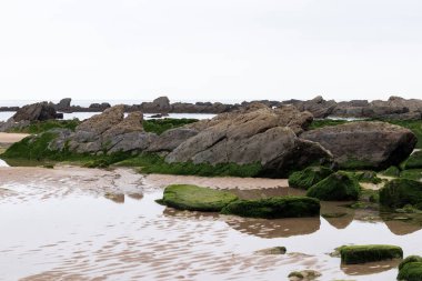 Bahar aylarında yeşil kayalıklı Bask sahilinde Barrika plajı.