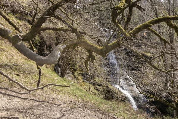 Ağaçların Arasında Uguna Şelalesi — Stok fotoğraf