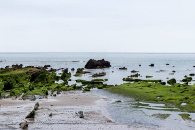Bahar aylarında yeşil kayalıklı Bask sahilinde Barrika plajı.