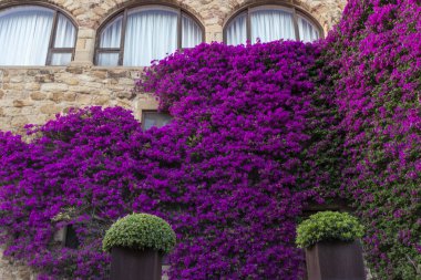 Ortaçağ dostları köyünde çiçeklerle dolu bir ortaçağ binasının cephesi.