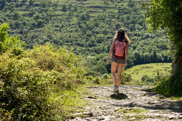 Woman Trekking Shorts Woods Basque Country — Stock Photo, Image