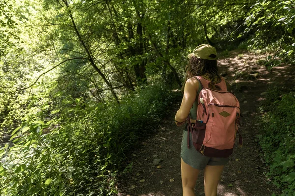Frau Wandert Kurzen Hosen Durch Die Wälder Des Baskenlandes — Stockfoto