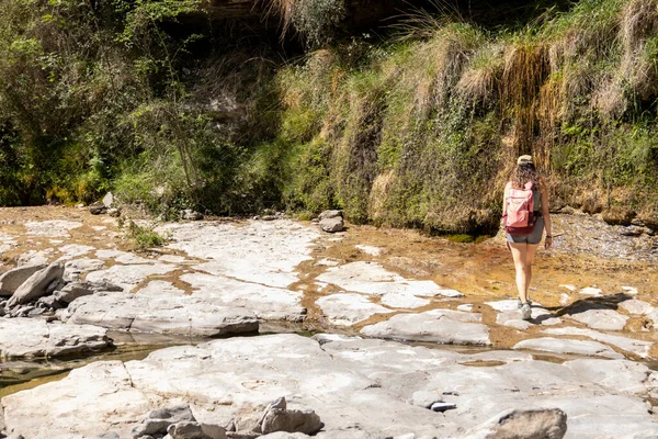 Brunette Woman Trekking Sunny Summer Day — стоковое фото