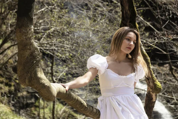 Blonde Woman White Dress Sitting Tree Forest — Stock Photo, Image