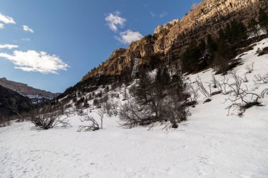 ordesa national park in the snowy pyrenees in winter