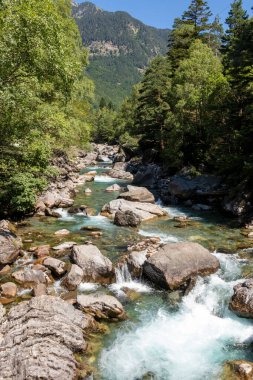 Mountainous river in green valley. wild nature