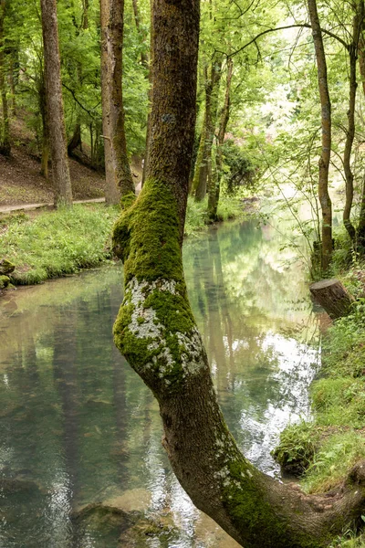 Fontibre Source Ebro Located Province Cantabria Spain — 图库照片