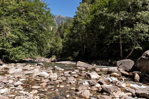Bujaruelo Völgy Pireneusokban Nyáron Ara Folyóval Előtérben — Stock Fotó