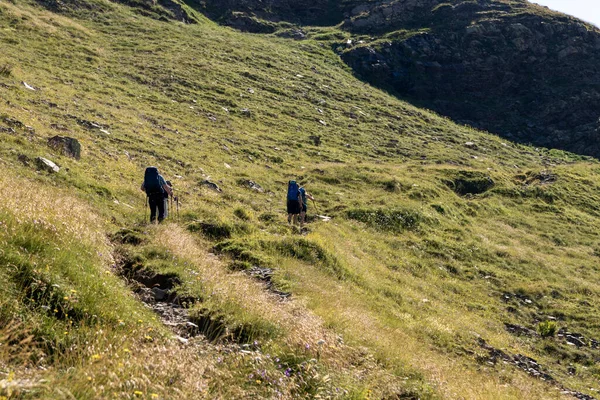 Couple Mountaineers Pyrenees Going Green Slope — Stock Photo, Image