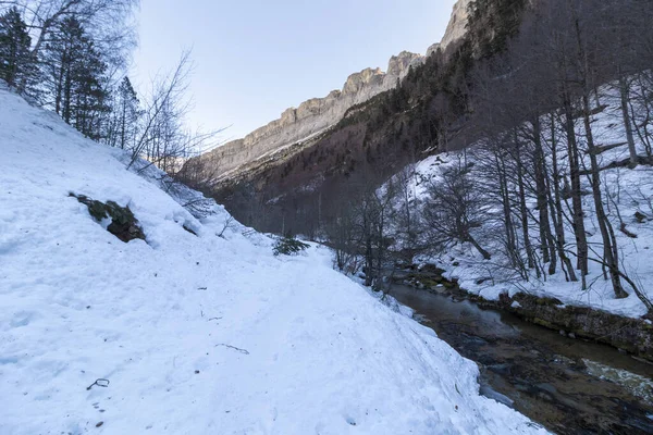 Snowy Path River Ordesa National Park Spanish Pyrenees — Stock Photo, Image