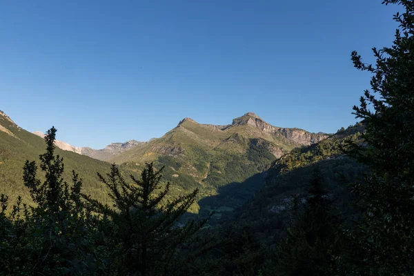 Green Mixed Broadleaf Coniferous Forest Bujaruelo Valley Aragonese Pyrenees Huesca — Stock Photo, Image