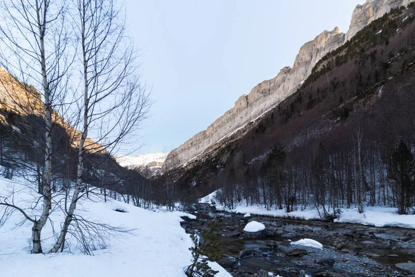 Sneklædte Sti Langs Floden Ordesa Nationalpark Spanske Pyrenæer - Stock-foto