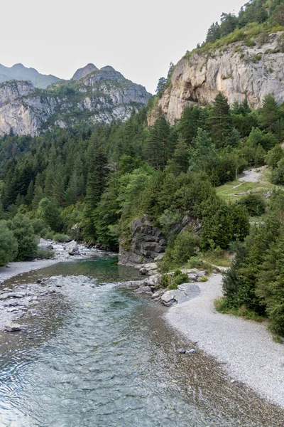 Landscape Ara River Crosses Bujaruelo Valley Aragonese Pyrenees Located Huesca — Stock Photo, Image