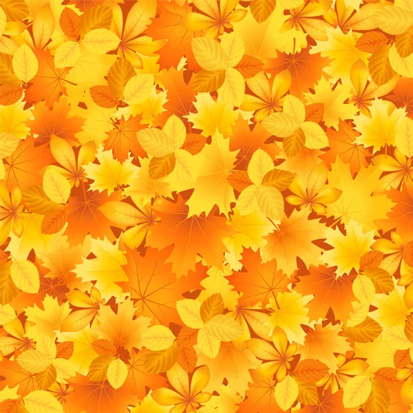 Bakground of autumn leaves — Stock Vector