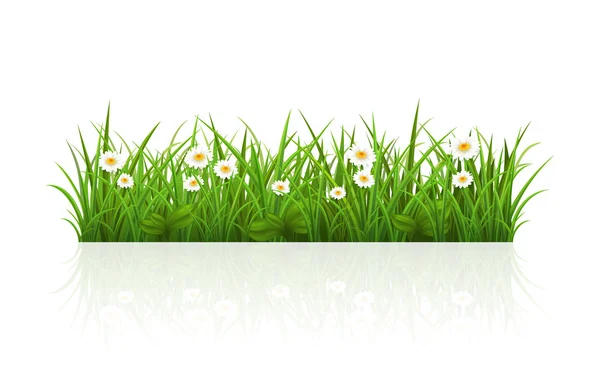 หญ้าฤดูร้อน — ภาพเวกเตอร์สต็อก