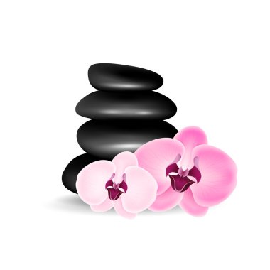 Spa-orkide taşlarla
