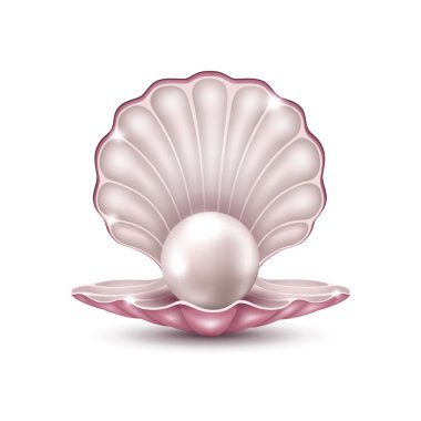 Pearl in the shell clipart