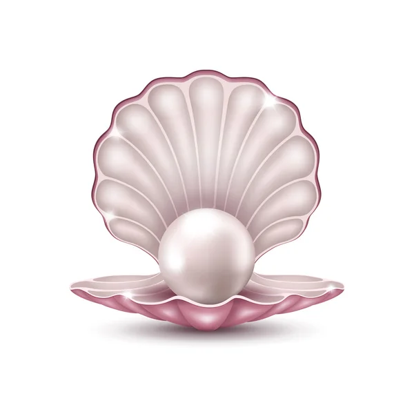 Pearl in the shell — Stock Vector