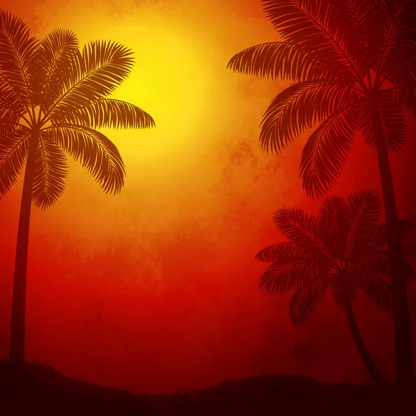 日落时的棕榈树 — 图库矢量图片