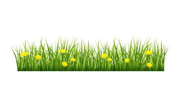 Grass with yellow flowers — Stock Vector