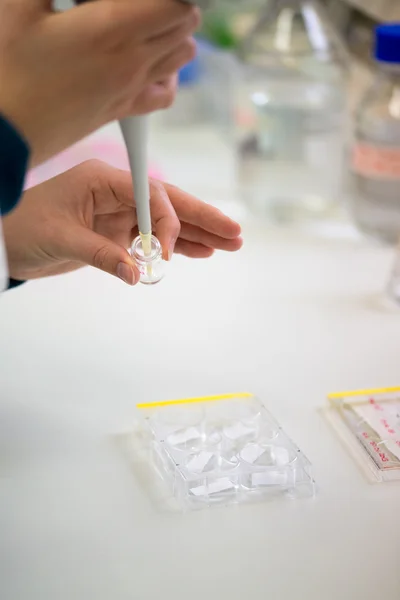 Trabalho em laboratório — Fotografia de Stock