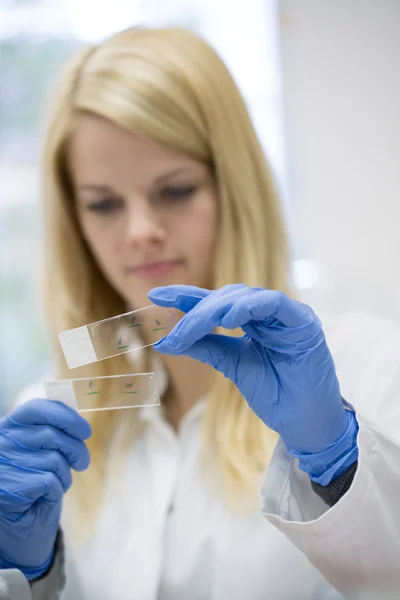 Laboratory — Stock Photo, Image