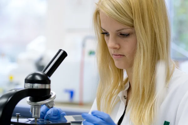 Laboratory — Stock Photo, Image