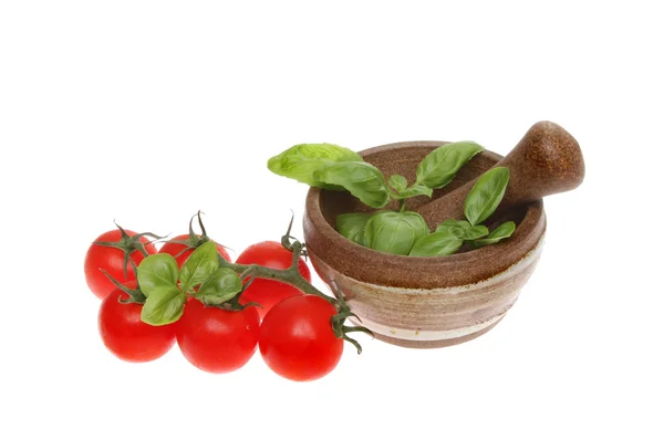 Tomates et basilic — Photo