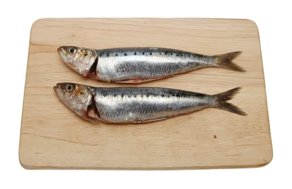 Två sardiner — Stockfoto