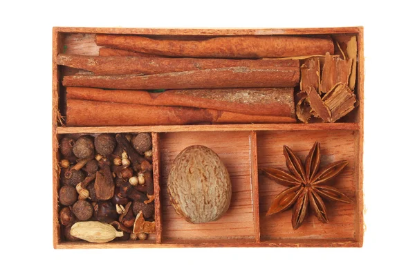 Spices in a tray — Stock Photo, Image