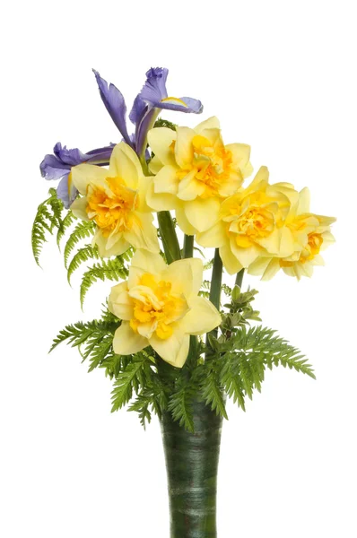 Påsklilja och iris blommor — Stockfoto