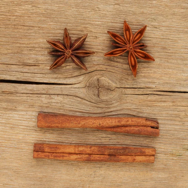 Yıldız anason ve tarçın — Stok fotoğraf