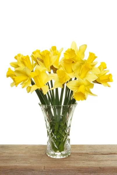 Bunch of daffodils — Stock Photo, Image