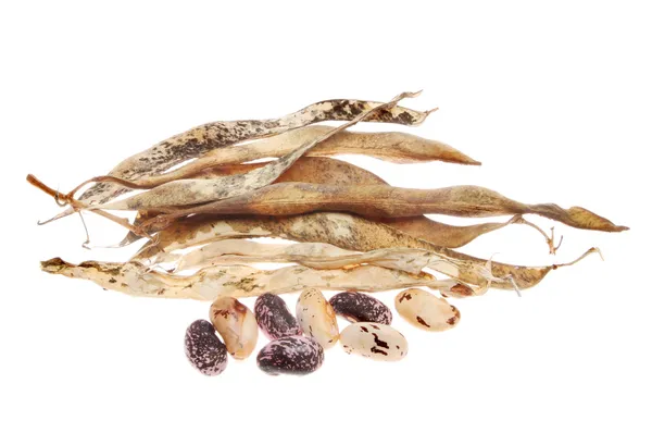 Fasola wielokwiatowa nasiona, łuski — Zdjęcie stockowe