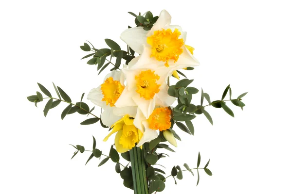 Påsklilja blommor och blad — Stockfoto