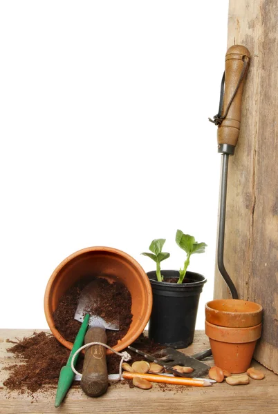 庭の potting のベンチ — ストック写真