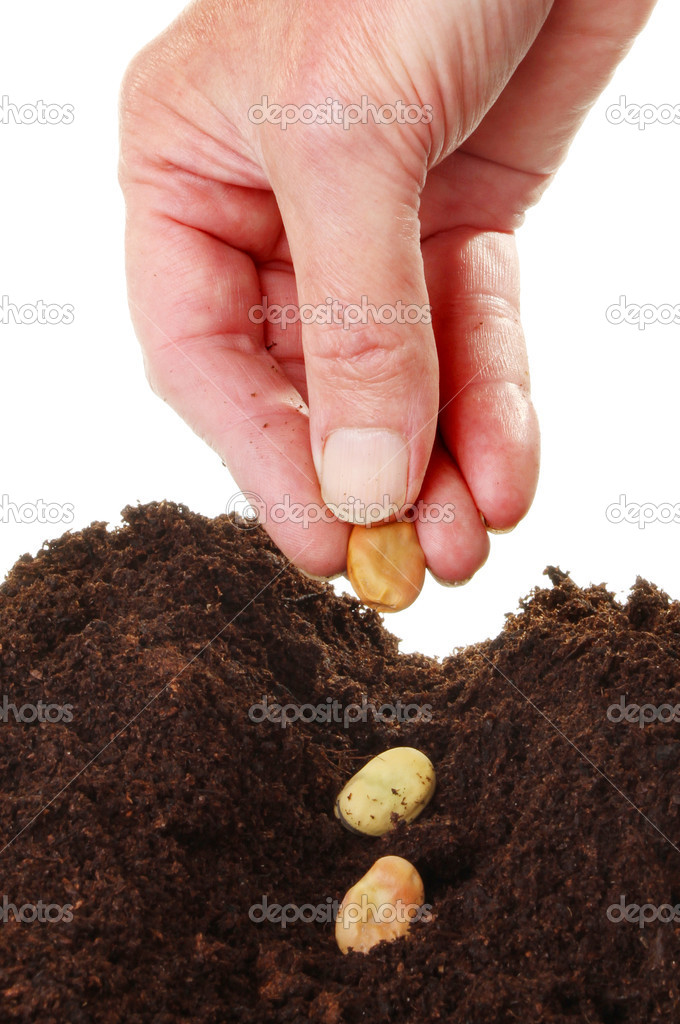 Hand planting seeds