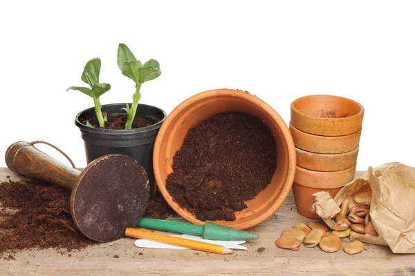 Garden pots and tools — Stock Photo, Image