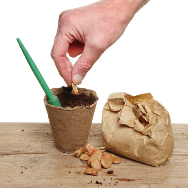 Hand planting — Stock Photo, Image