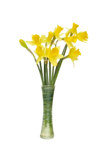 Bunch of daffodils — Stock Photo, Image