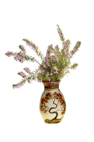Fleurs de bruyère dans un vase — Photo
