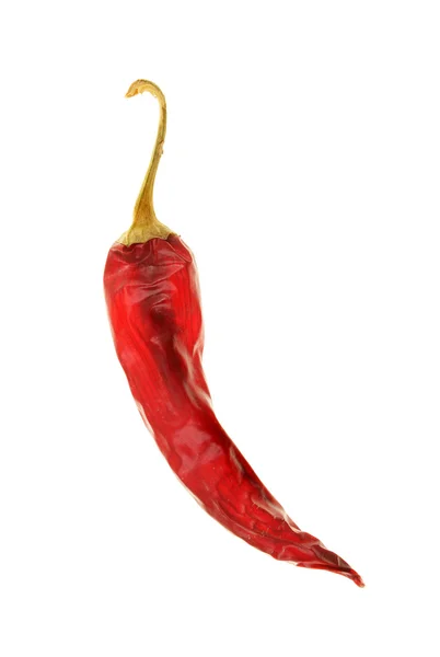 Rote Chilischote — Stockfoto