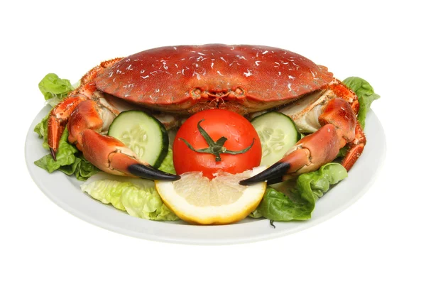 Gekookte krab op salade — Stockfoto