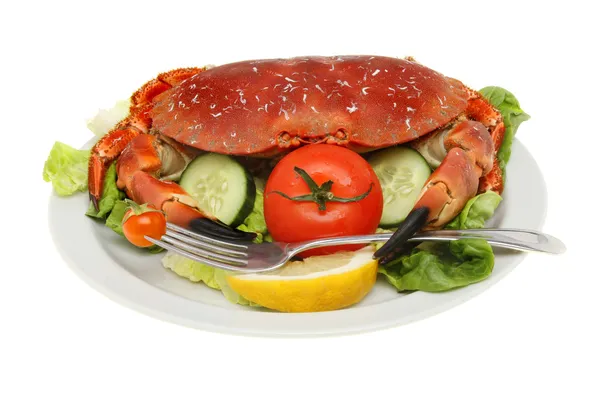 Fourchette à salade de crabe — Photo