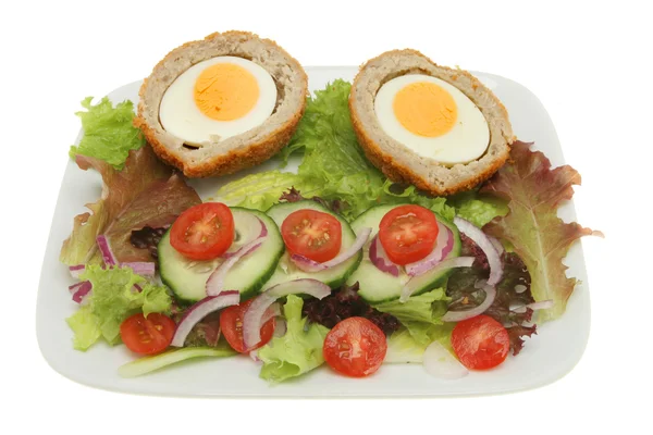 Schottischer Eiersalat — Stockfoto