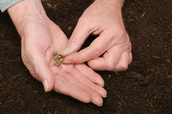 Sowing seeds — Stock Photo, Image