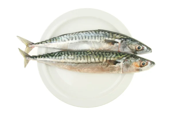 Dwa makreli na talerzu — Zdjęcie stockowe